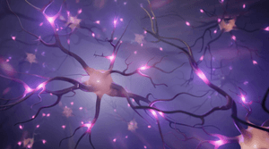 Plasticidade Neural: Como o Cérebro se Adapta e a Importância da Fisioterapia