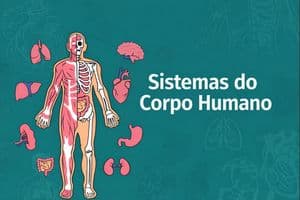 Sistemas do Corpo Humano: Visão integrada para a Fisioterapia