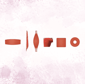 Classificação Morfológica dos Músculos Esqueléticos: Entenda os Tipos e Funções