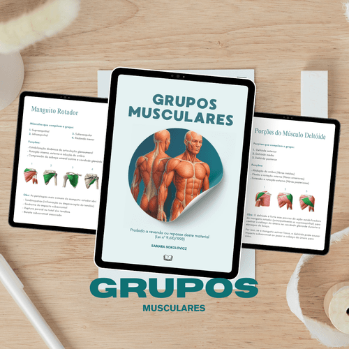 Principais Grupos Musculares (31 grupos musculares detalhados)