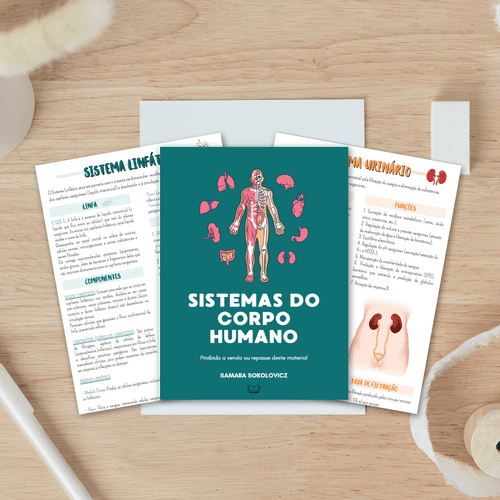 Sistemas do Corpo Humano + Bônus – Localização dos Órgãos e Glândulas