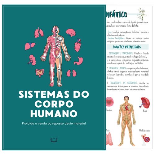 Sistemas do Corpo Humano + Bônus – Localização dos Órgãos e Glândulas