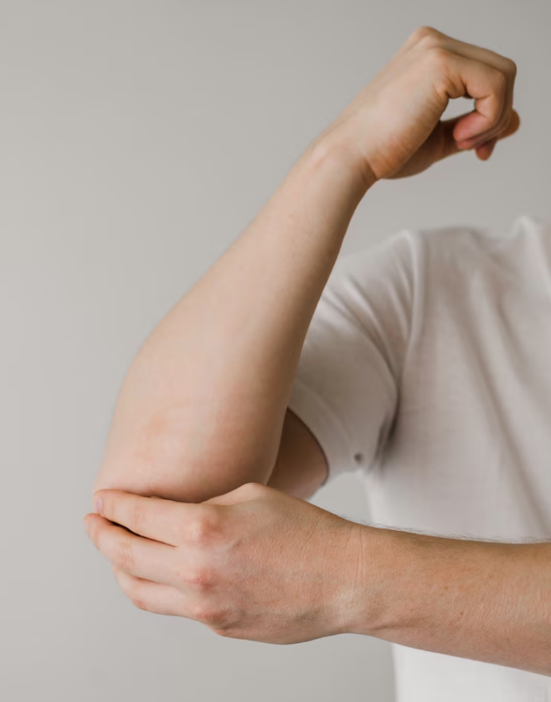 Anatomia da Articulação do Cotovelo: Tudo o Que Você Precisa Saber