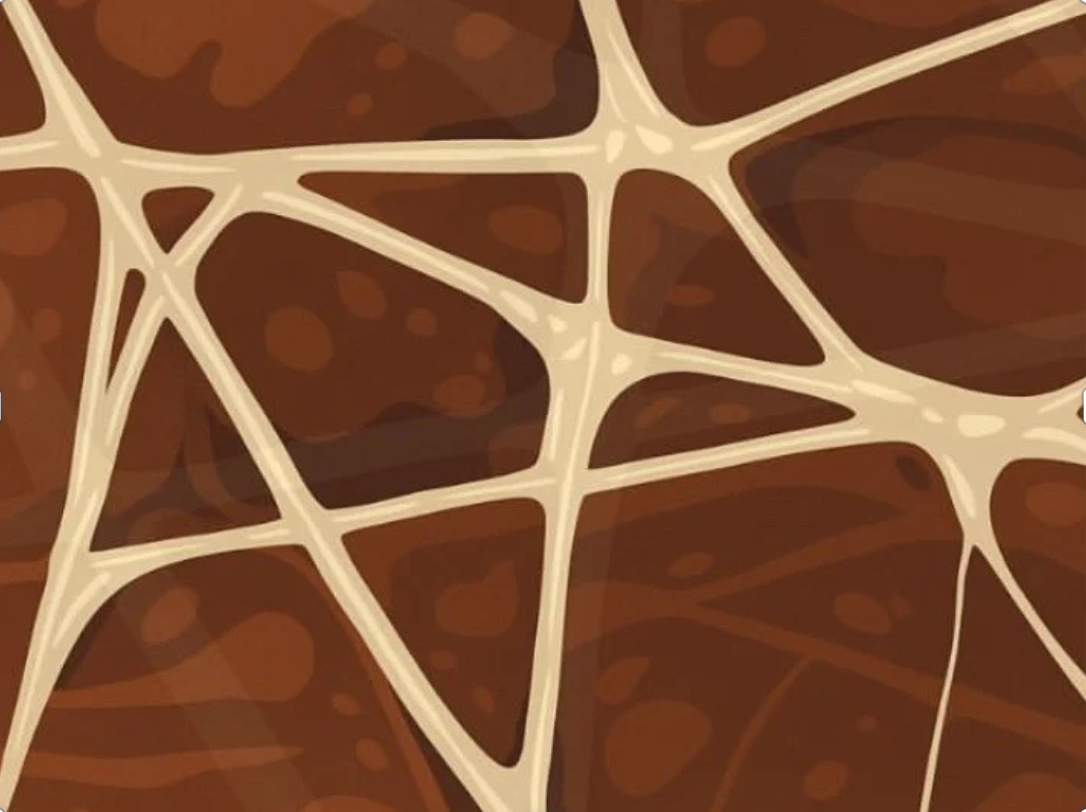 Fáscia e Compartimentos Faciais: Tudo o Que Você Precisa Saber