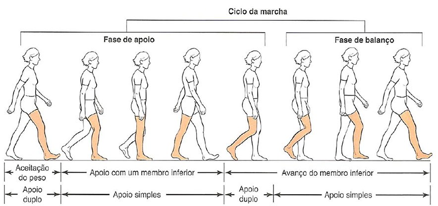 ciclo_da_marcha_treino_em_foco_analise.jpg