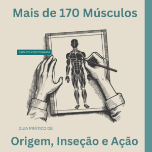 Anatomia Muscular - Todos os Músculos - Origem, Inserção e Ação