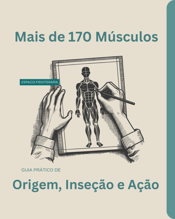 Anatomia Muscular - Todos os Músculos - Origem, Inserção e Ação